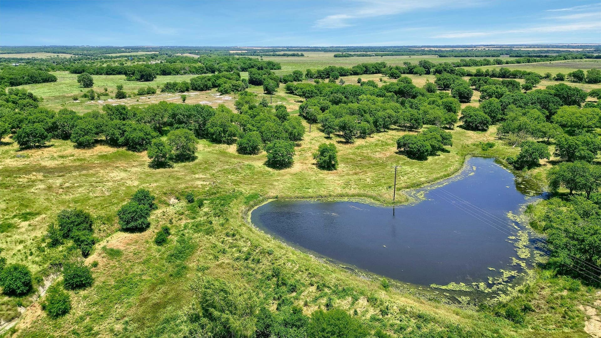 26 acres in Grayson County - photo 4