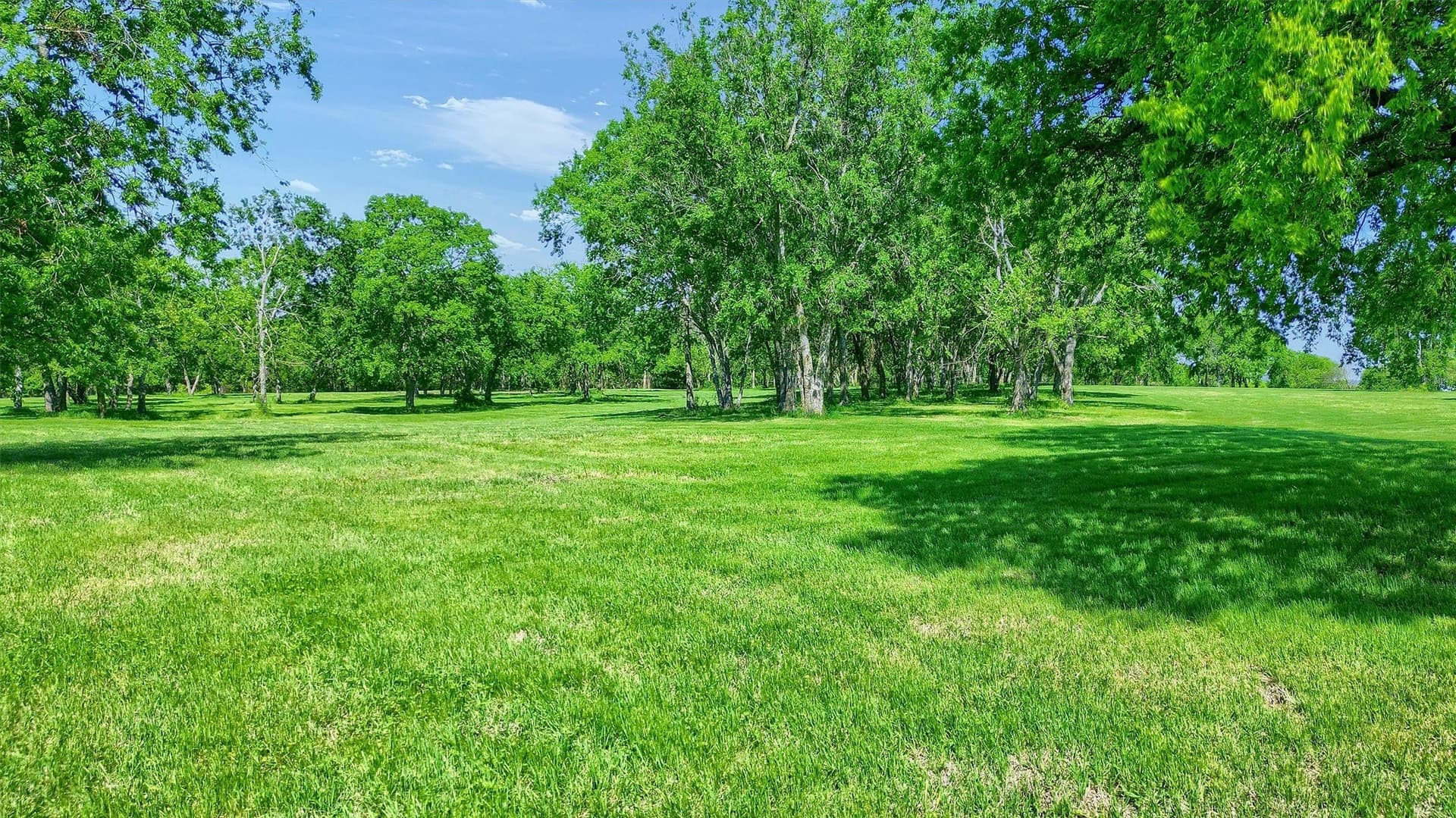26 acres in Grayson County - photo 21