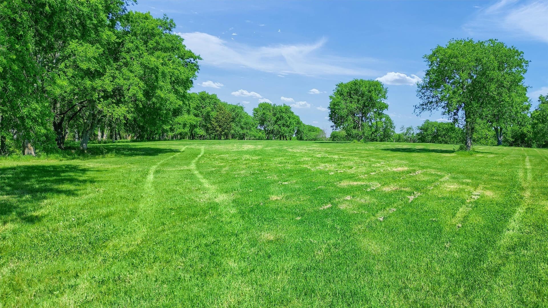 26 acres in Grayson County - photo 22