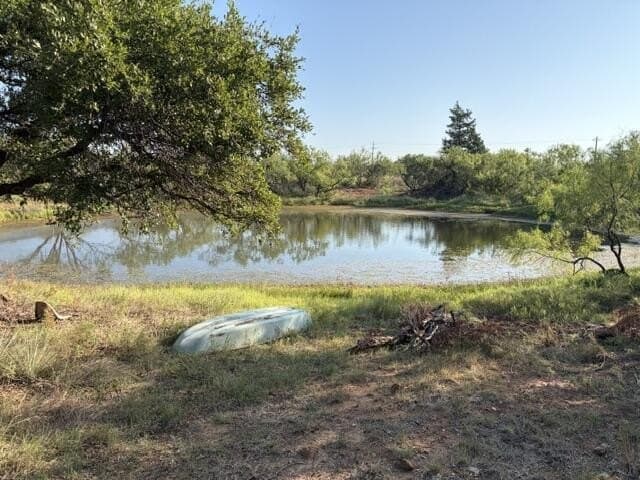 85.26 acres in Coke County - photo 2