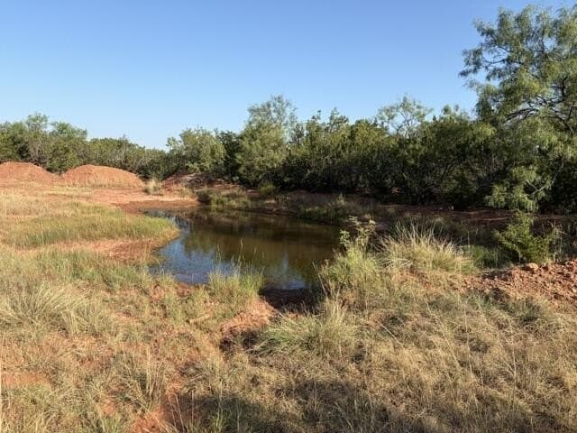 85.26 acres in Coke County - photo 3