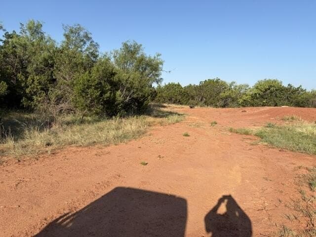 85.26 acres in Coke County - photo 19