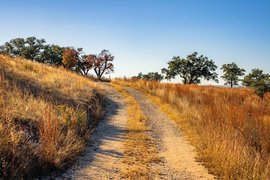 14 acres in Kendall County featured view