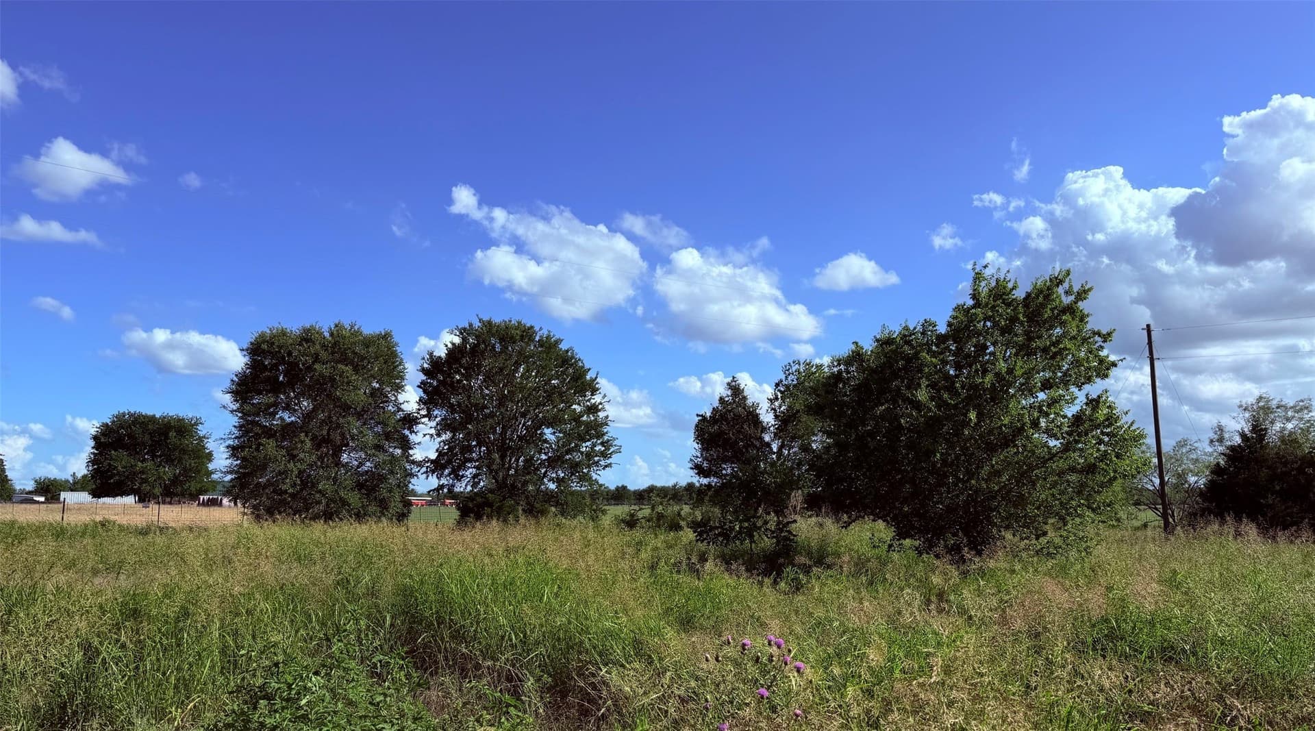 1.06 acres in Navarro County gallery image 2