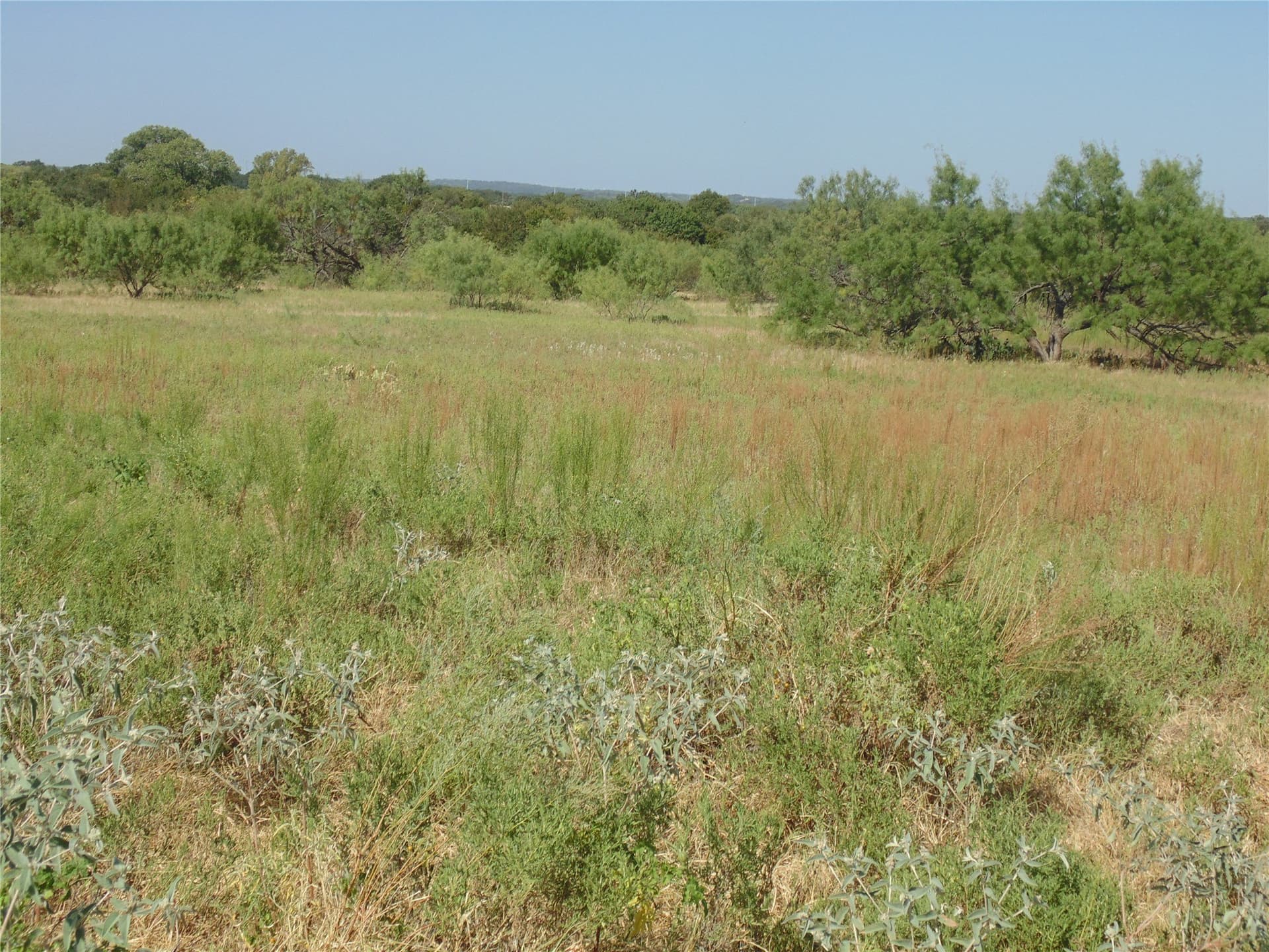 49.16 acres in Comanche County - photo 16
