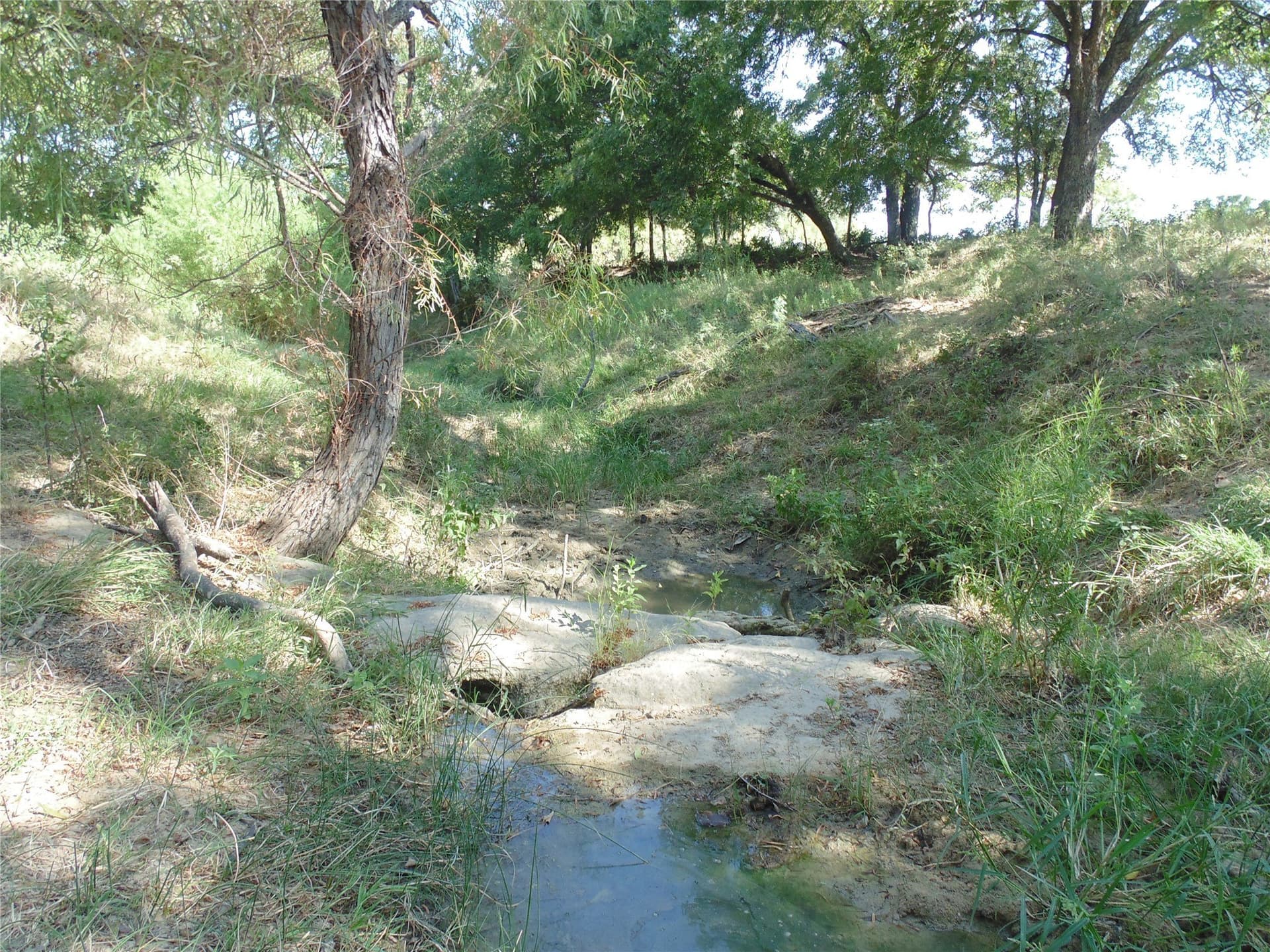 49.16 acres in Comanche County - photo 5