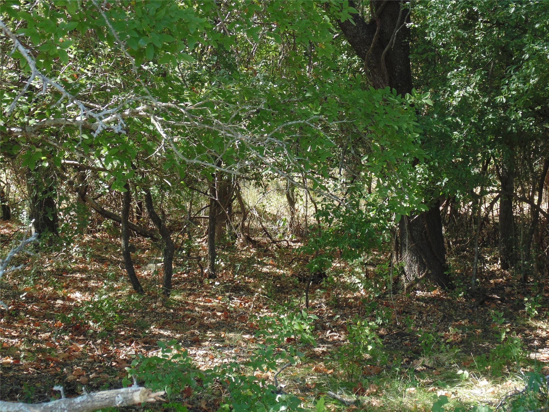 49.16 acres in Comanche County - photo 11