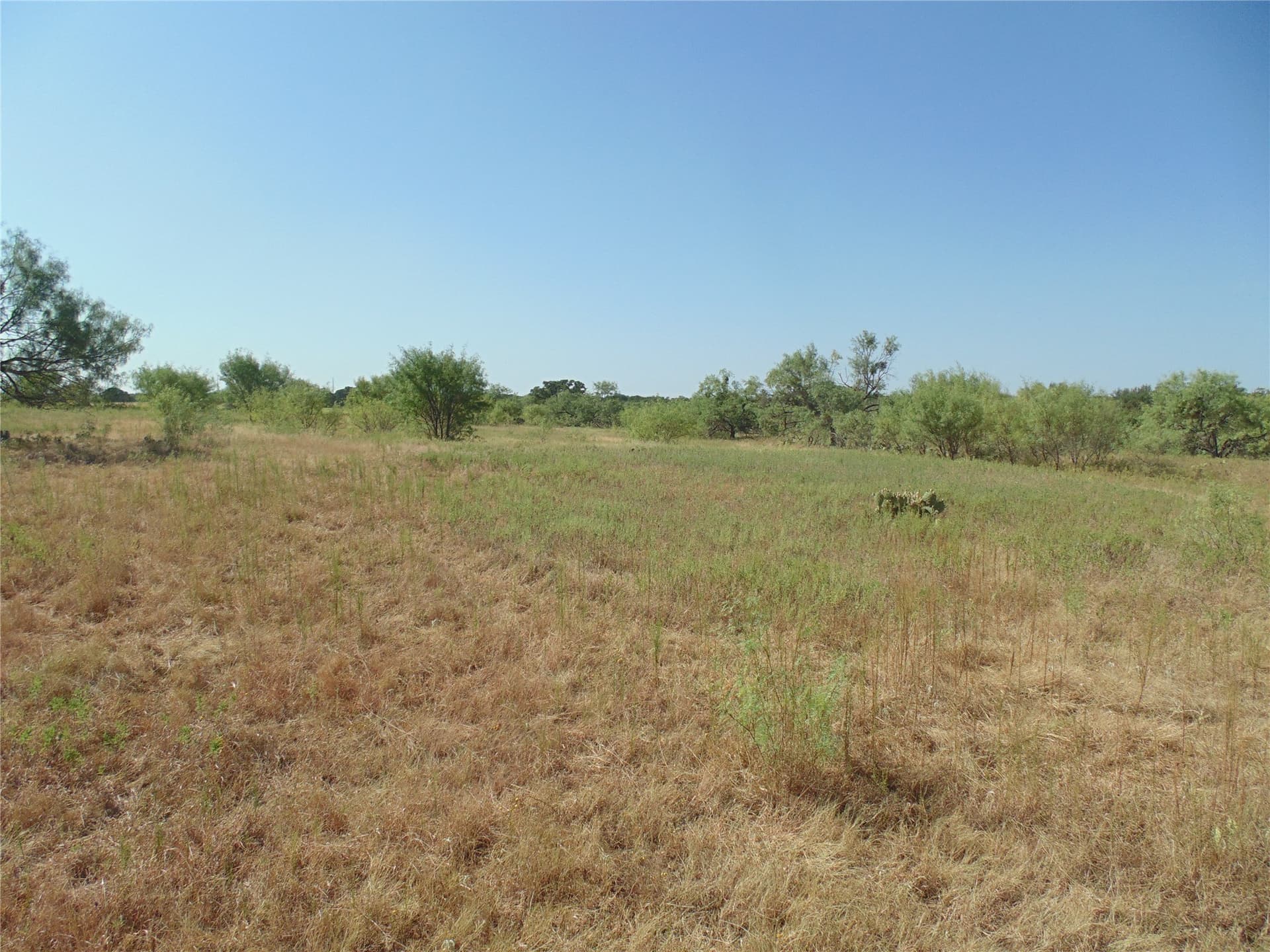 49.16 acres in Comanche County - photo 18
