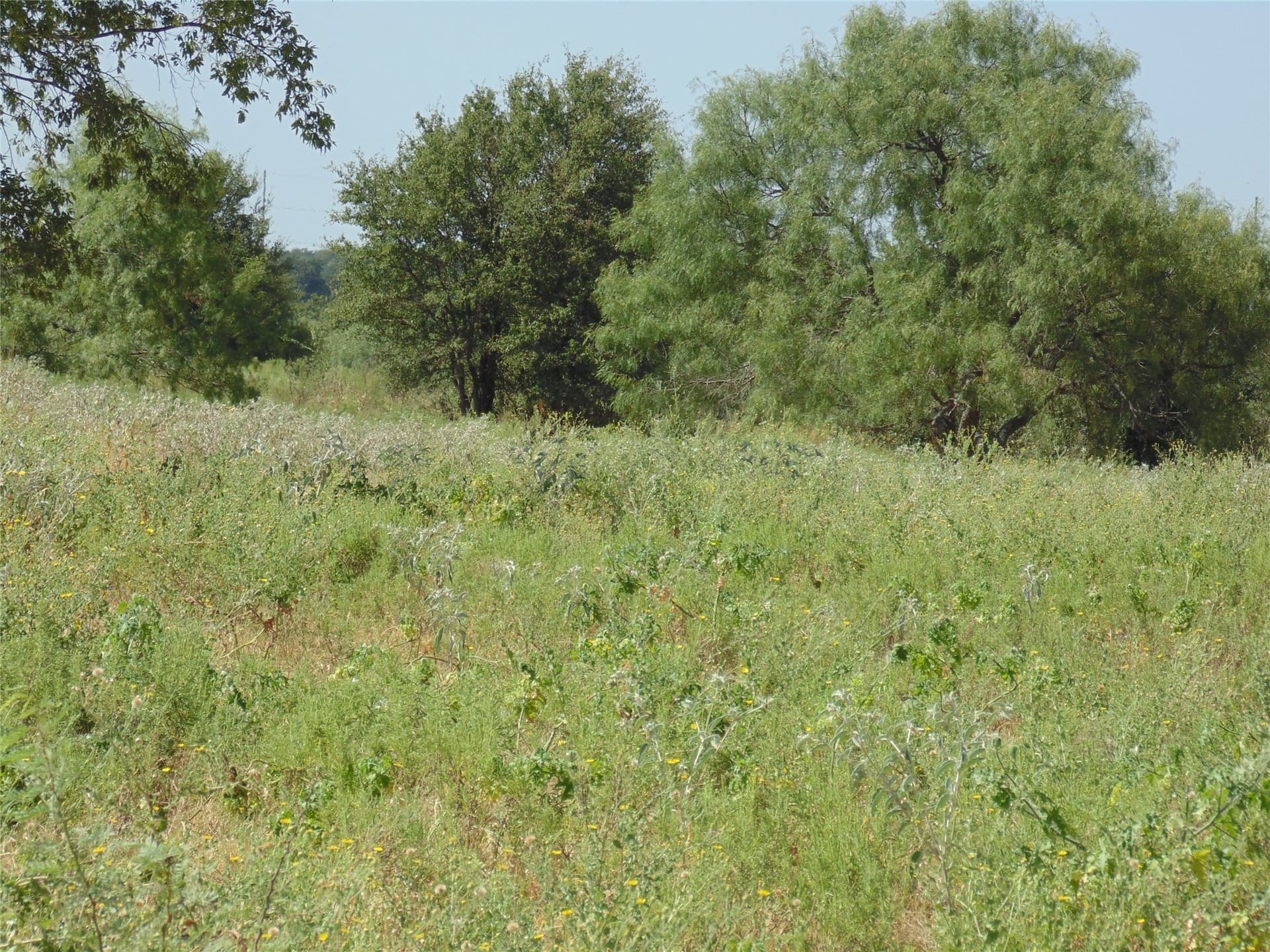 49.16 acres in Comanche County - photo 13