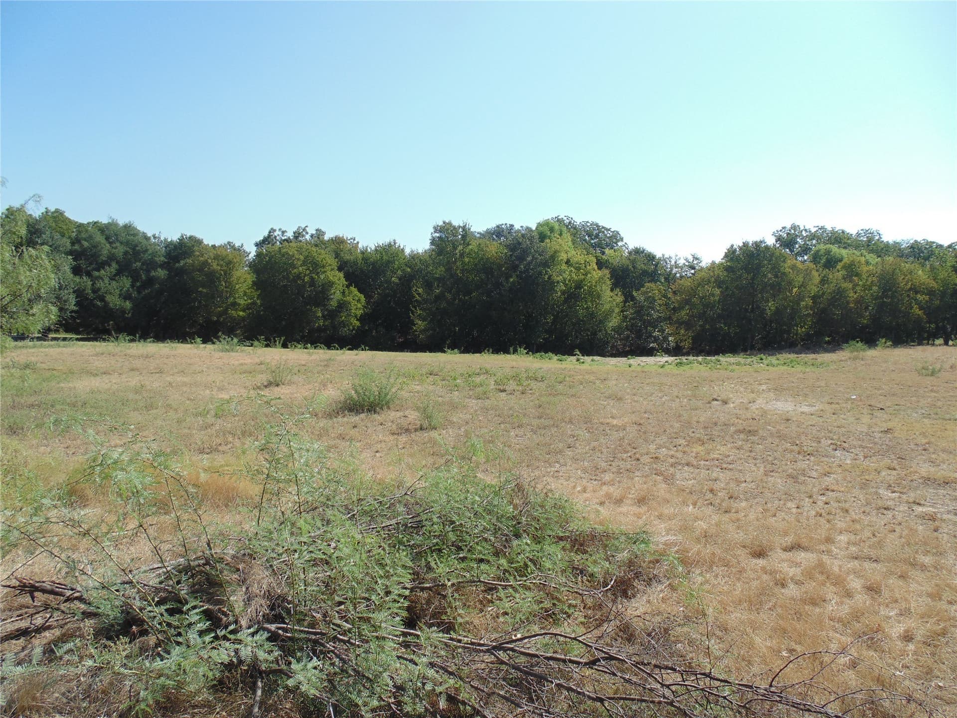 49.16 acres in Comanche County - photo 2