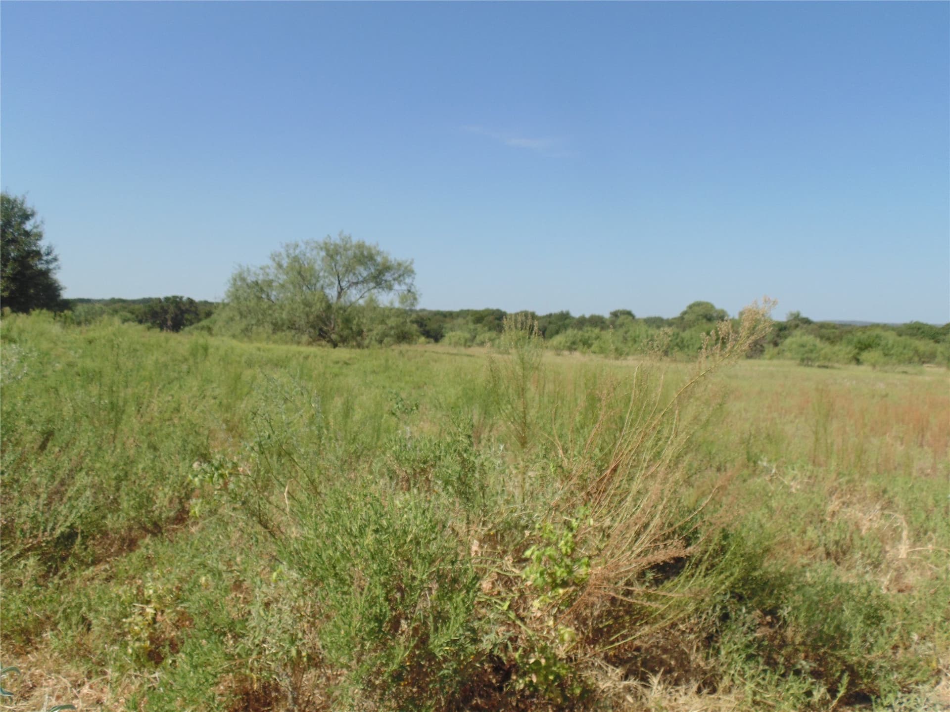 49.16 acres in Comanche County - photo 8