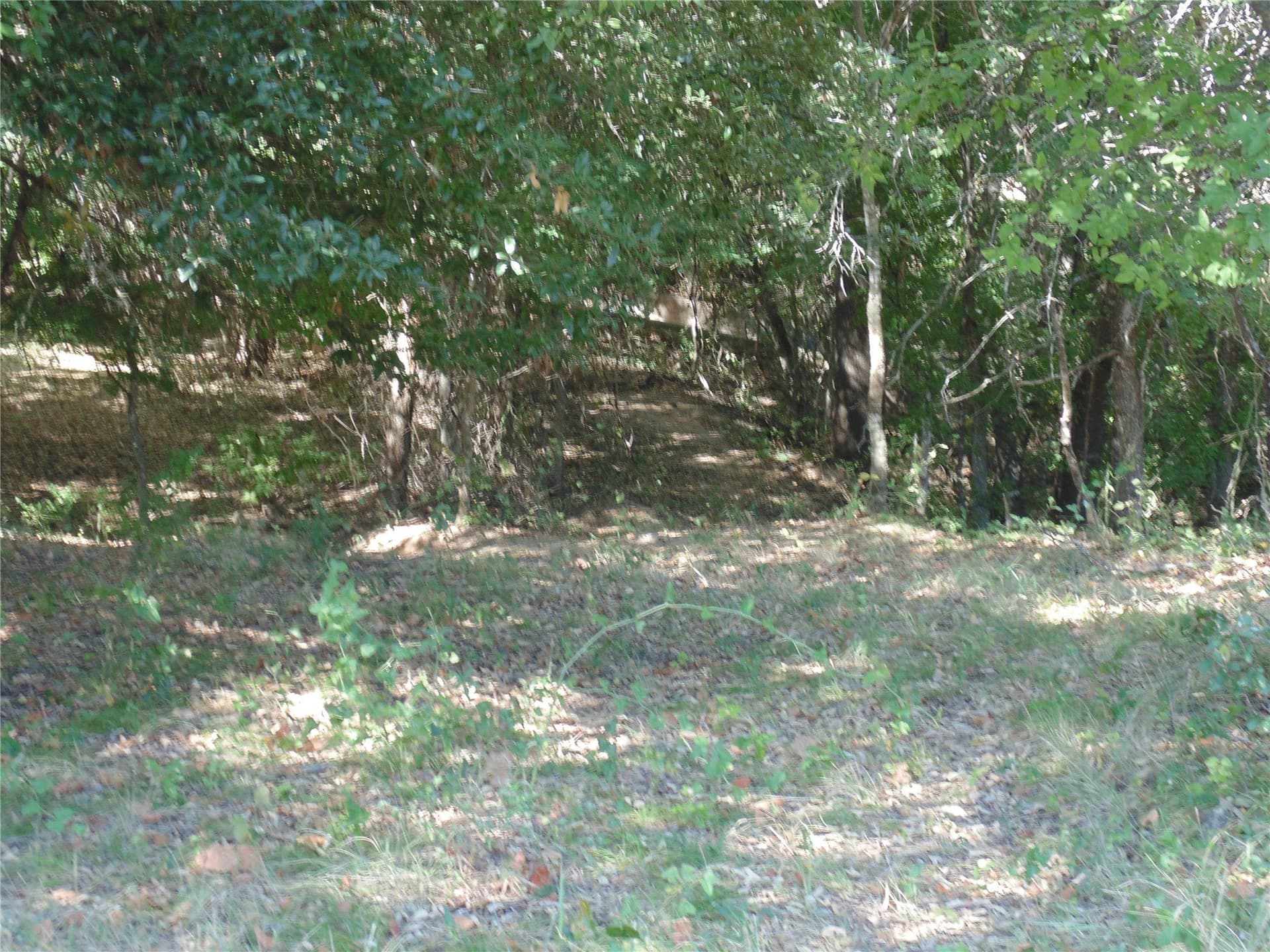 49.16 acres in Comanche County - photo 12