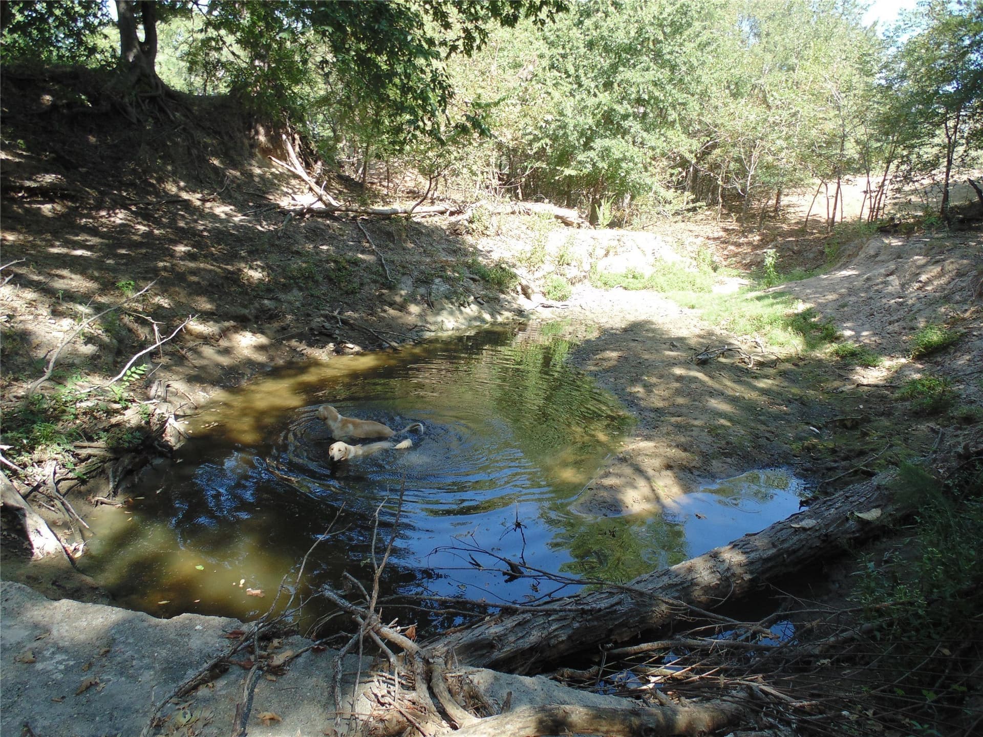 49.16 acres in Comanche County - photo 3