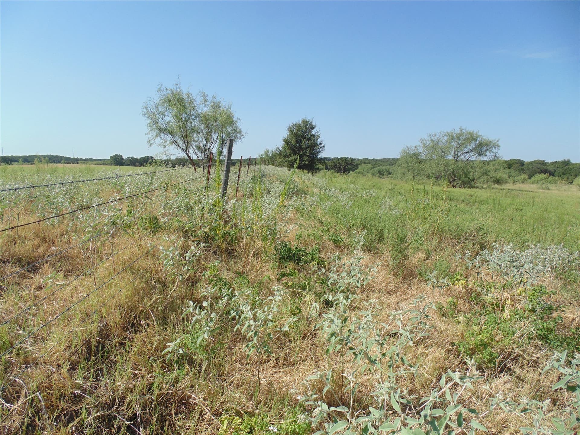 49.16 acres in Comanche County - photo 10