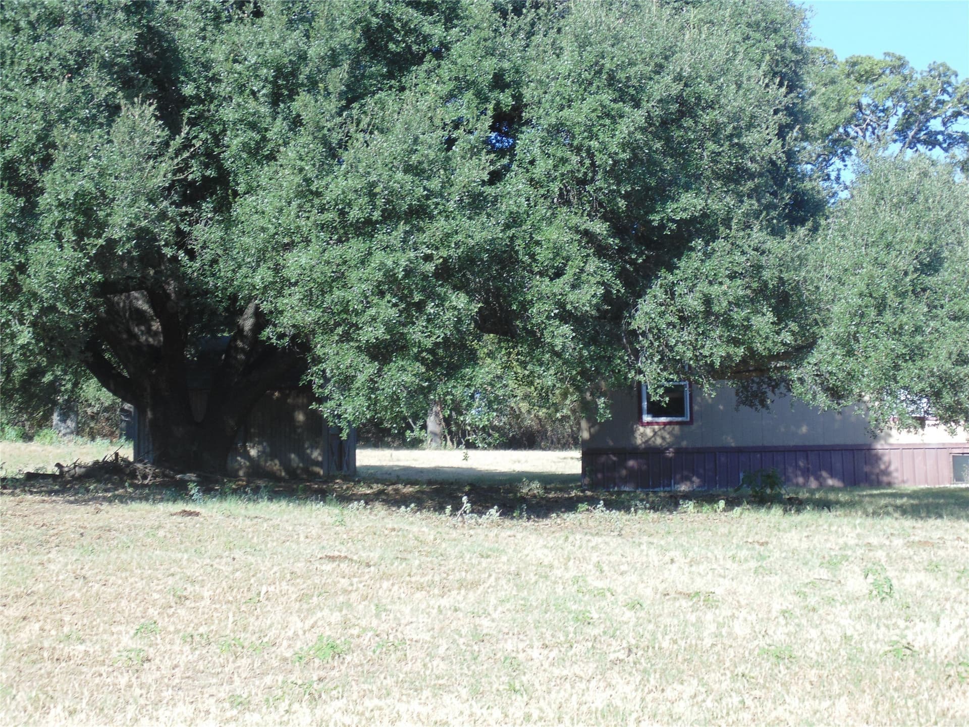 49.16 acres in Comanche County - photo 27
