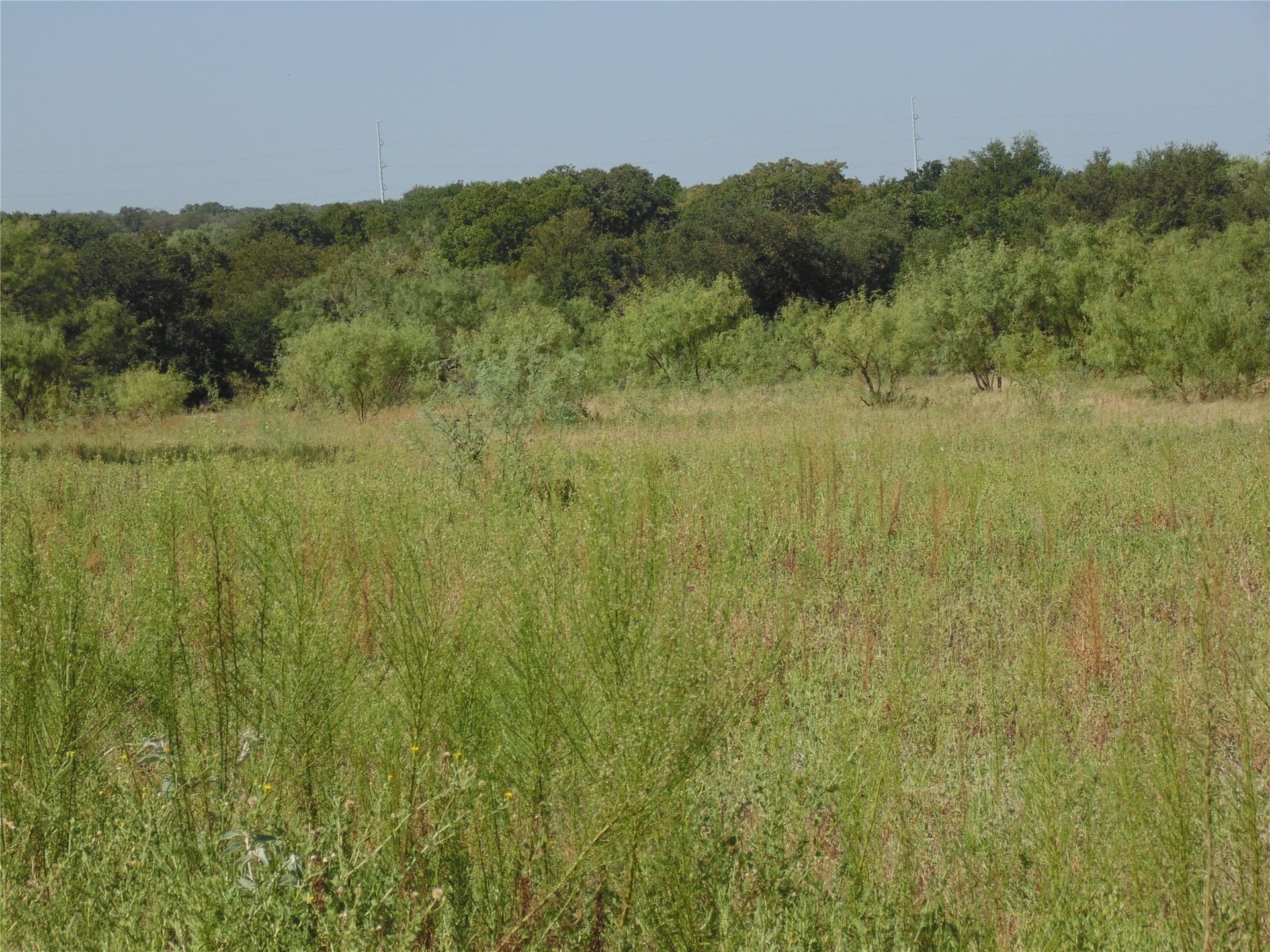 49.16 acres in Comanche County - photo 9
