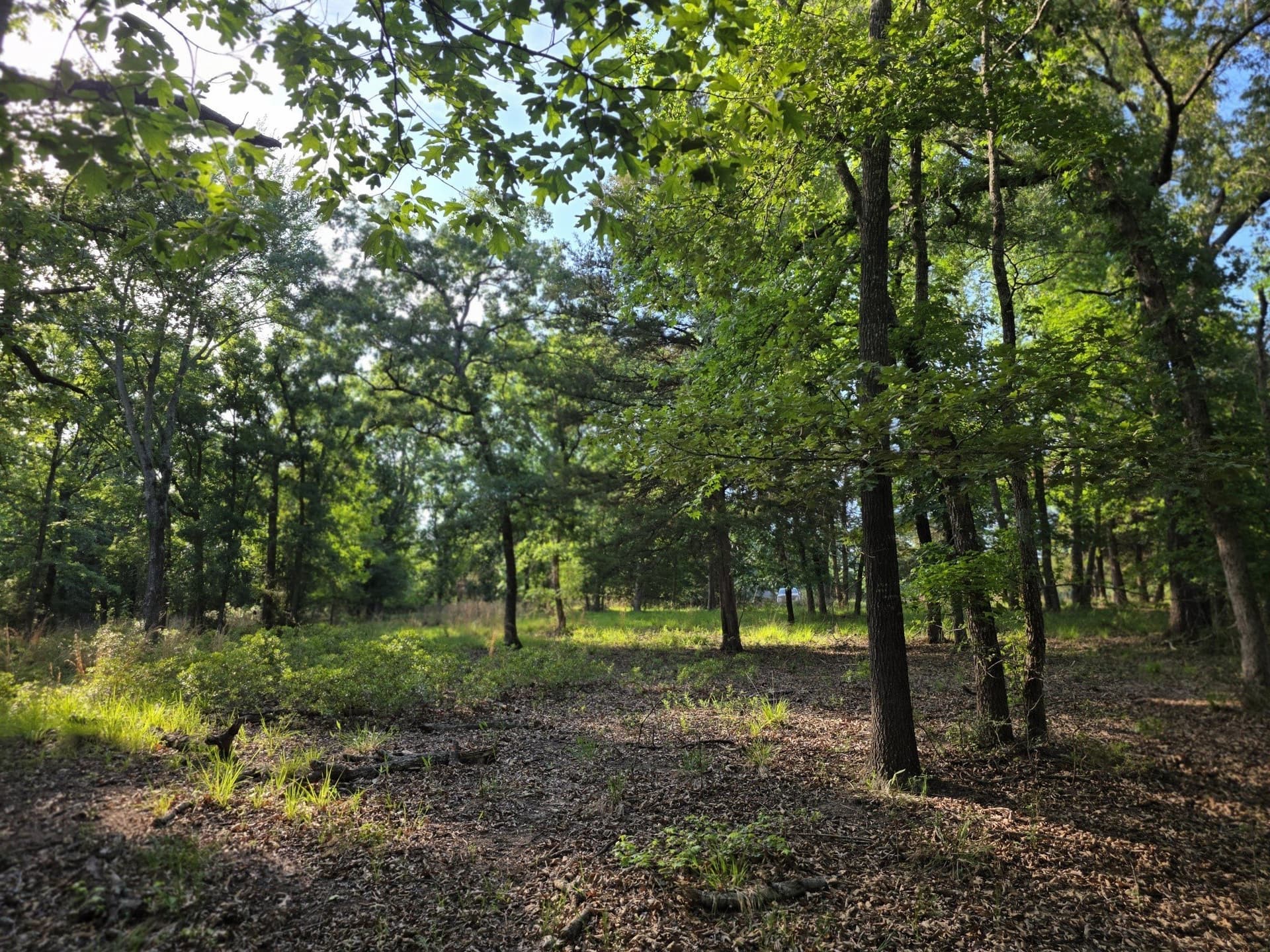 2.09 acres in Henderson County - photo 21