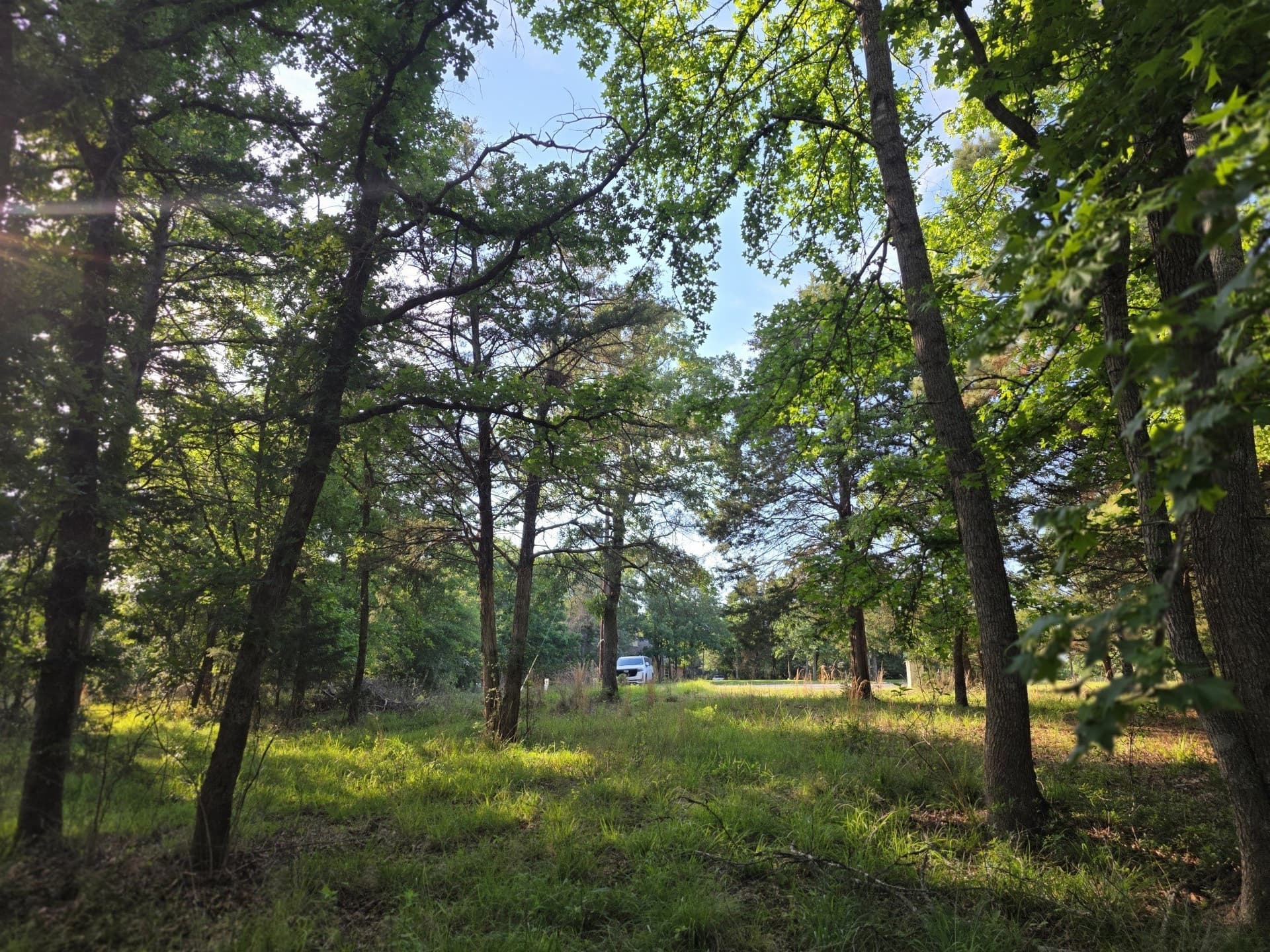 2.09 acres in Henderson County - photo 37