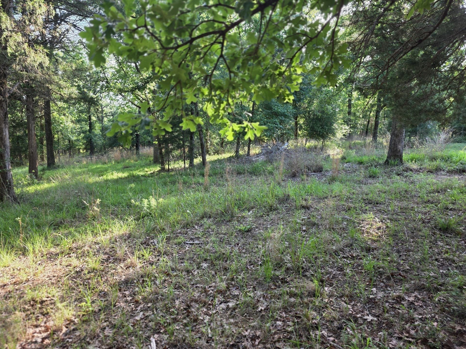 2.09 acres in Henderson County - photo 35