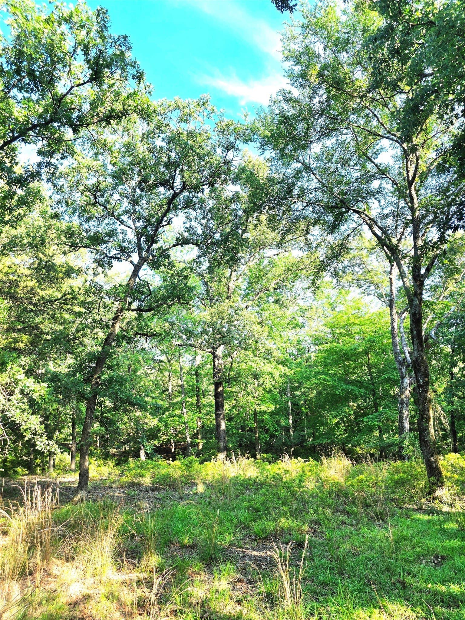 2.09 acres in Henderson County - photo 18