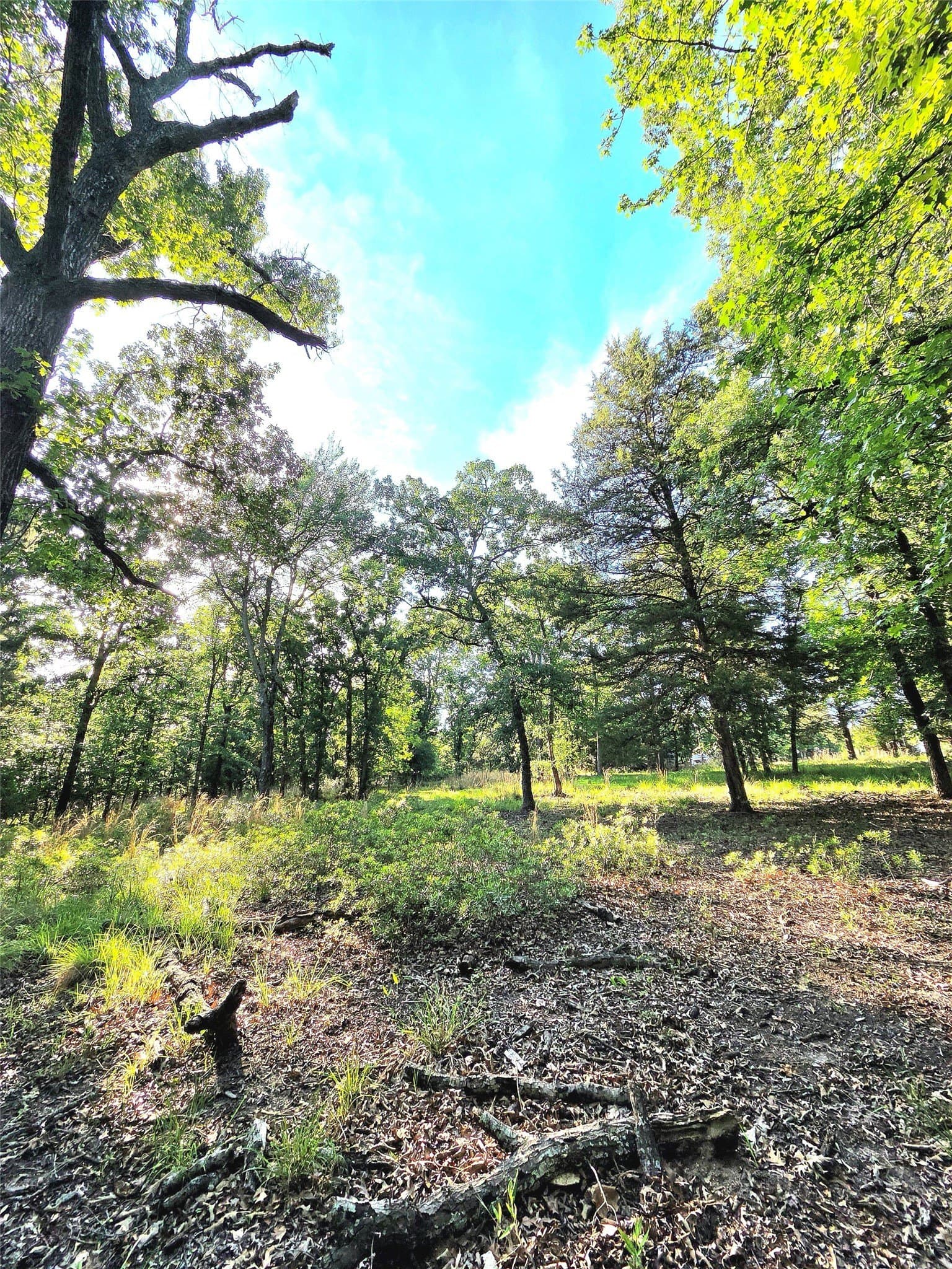 2.09 acres in Henderson County - photo 33