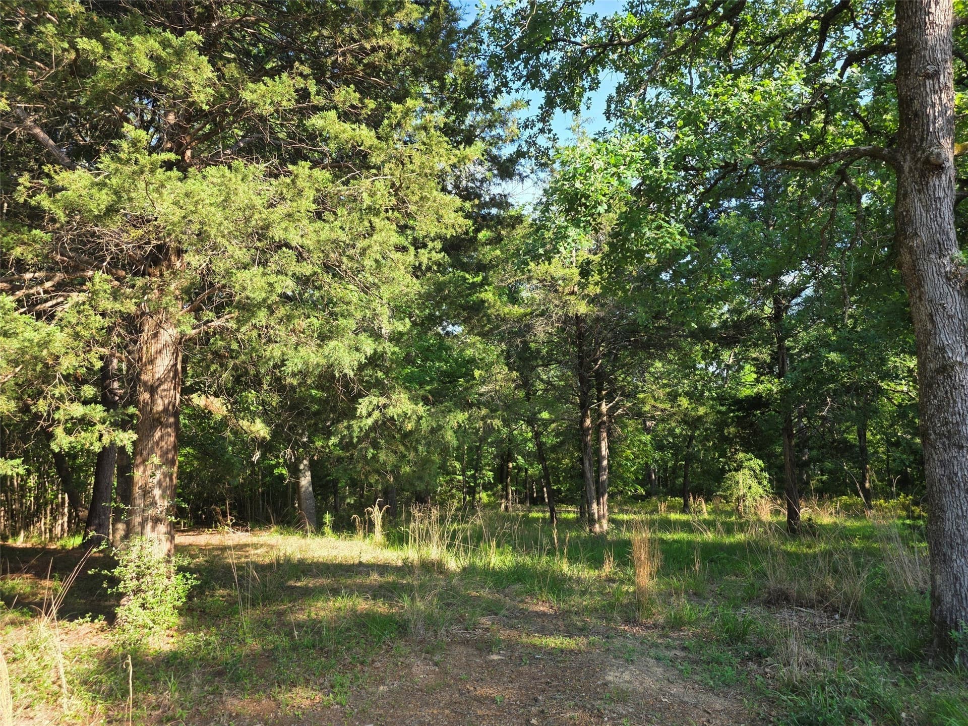 2.09 acres in Henderson County - photo 25