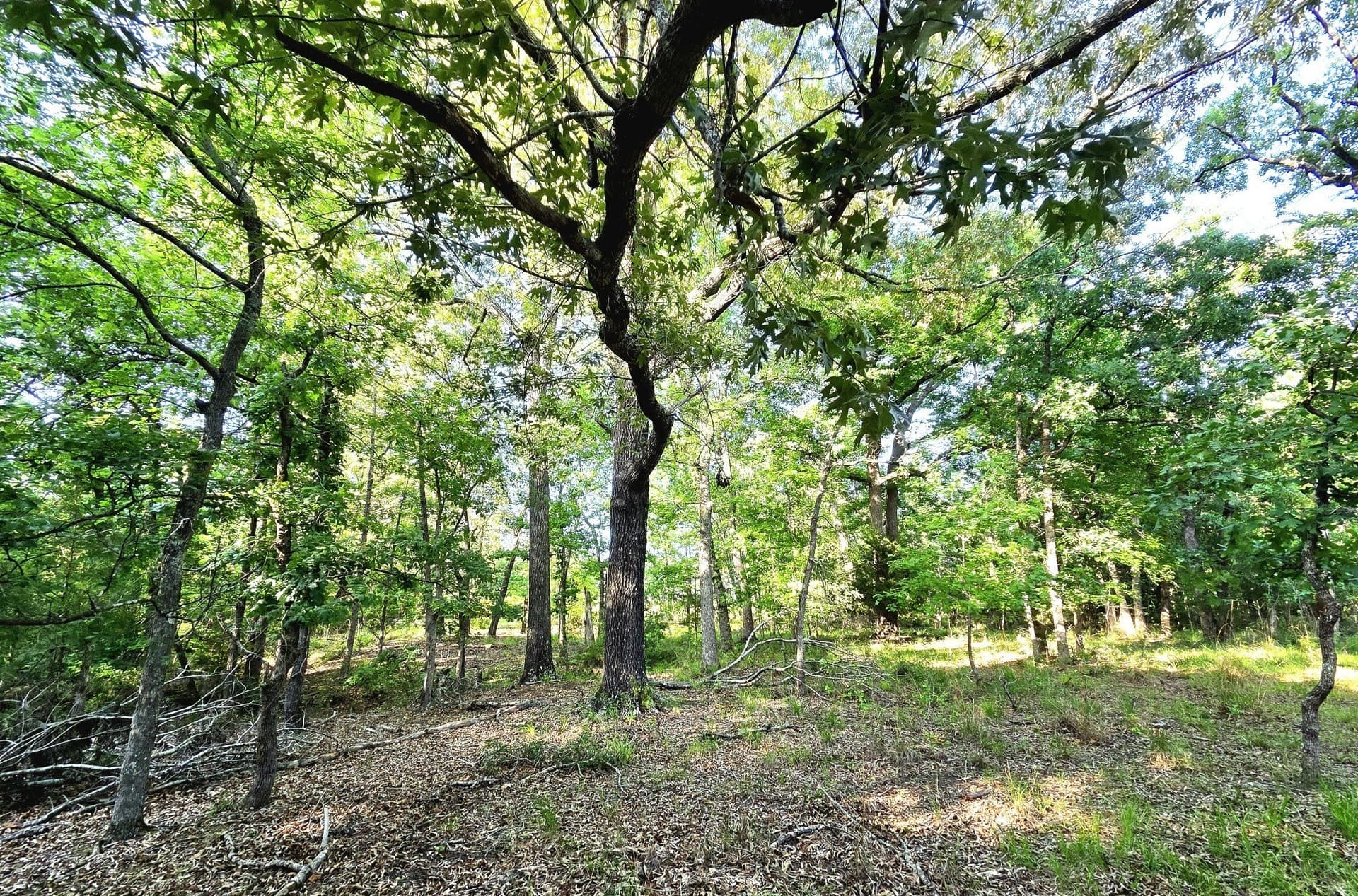 2.09 acres in Henderson County - photo 16