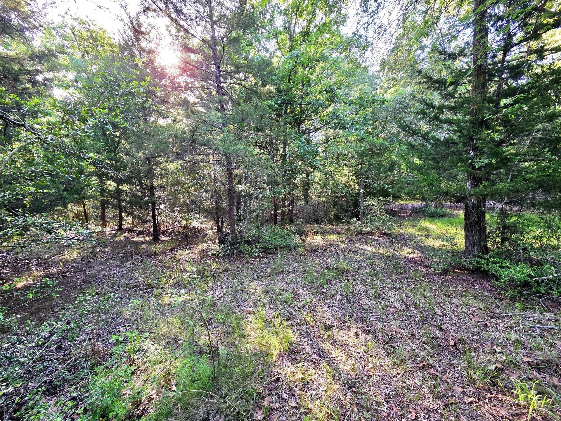 2.09 acres in Henderson County - photo 31