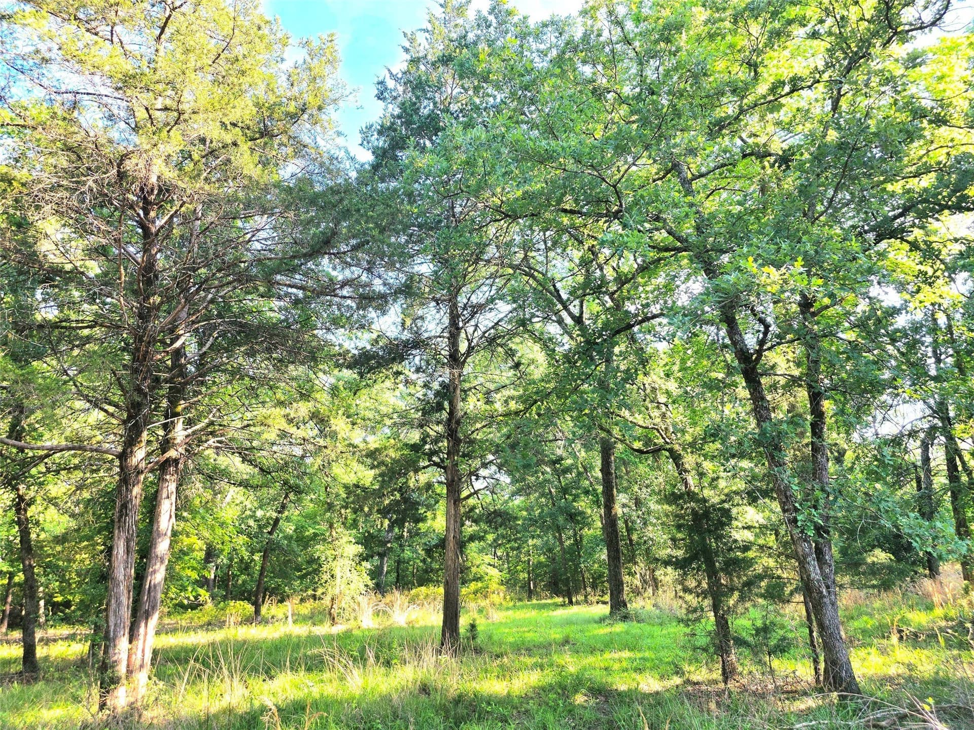 2.09 acres in Henderson County - photo 6