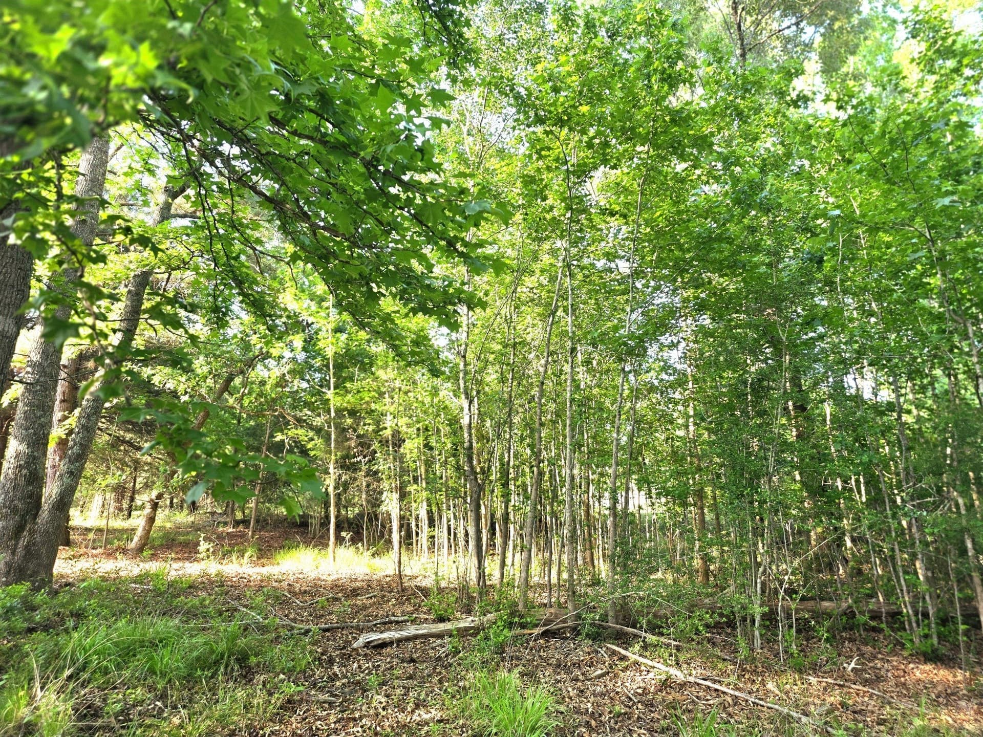 2.09 acres in Henderson County - photo 22