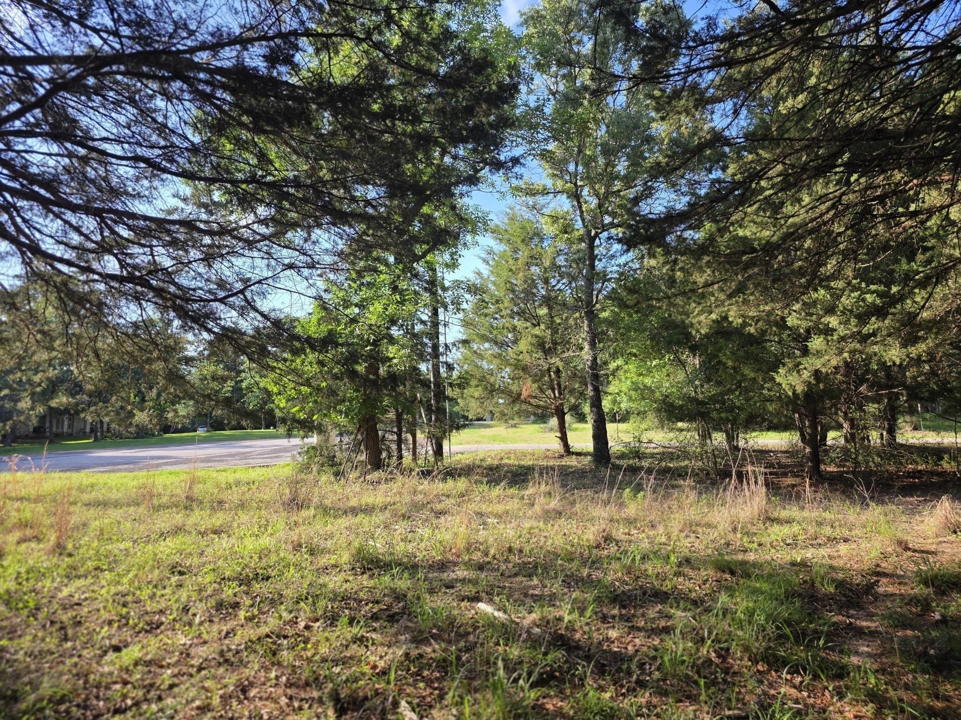 2.09 acres in Henderson County - photo 36