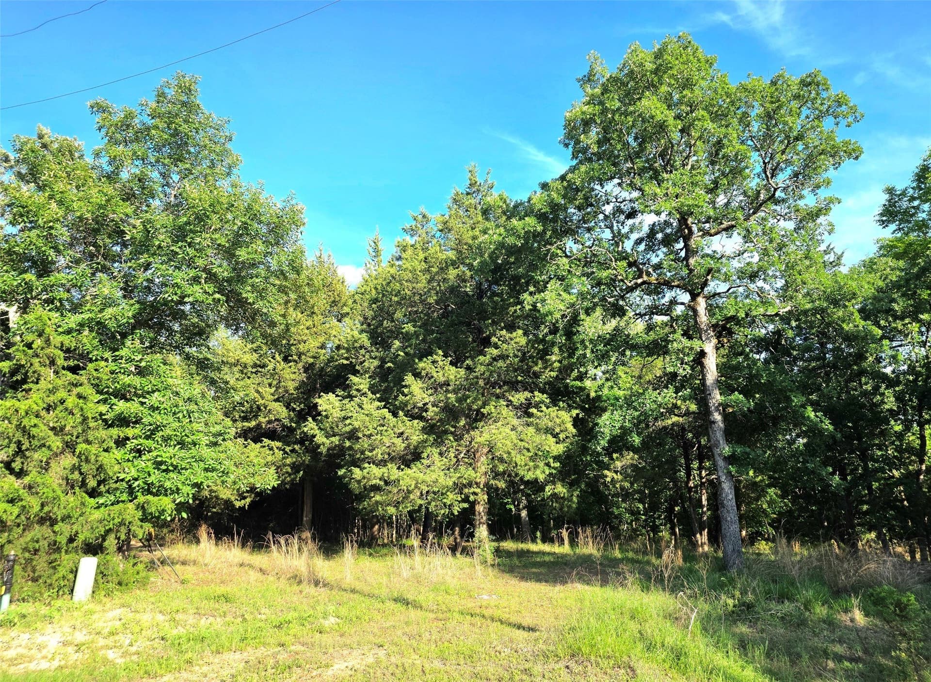2.09 acres in Henderson County - photo 40