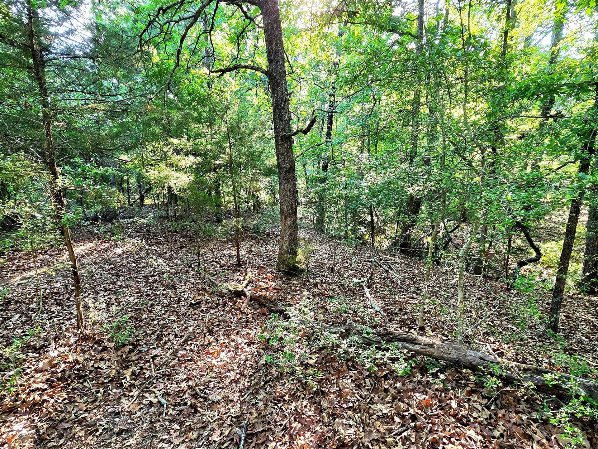 2.09 acres in Henderson County - photo 32