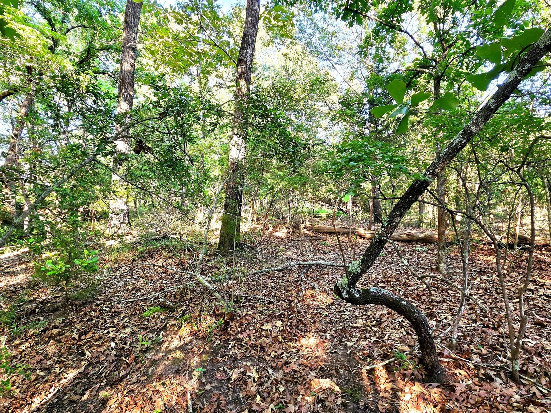 2.09 acres in Henderson County - photo 24