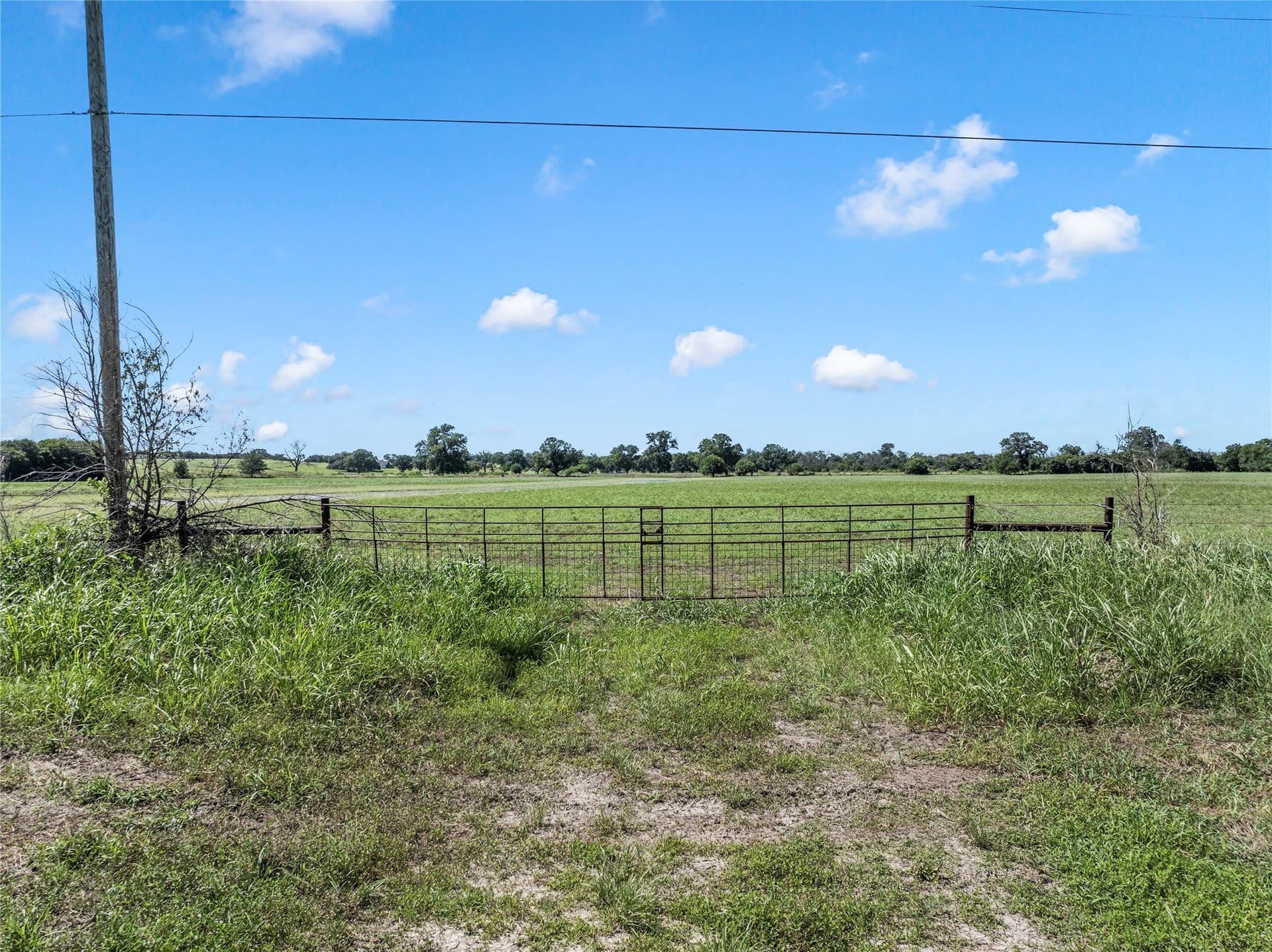 30 acres in McLennan County - photo 12
