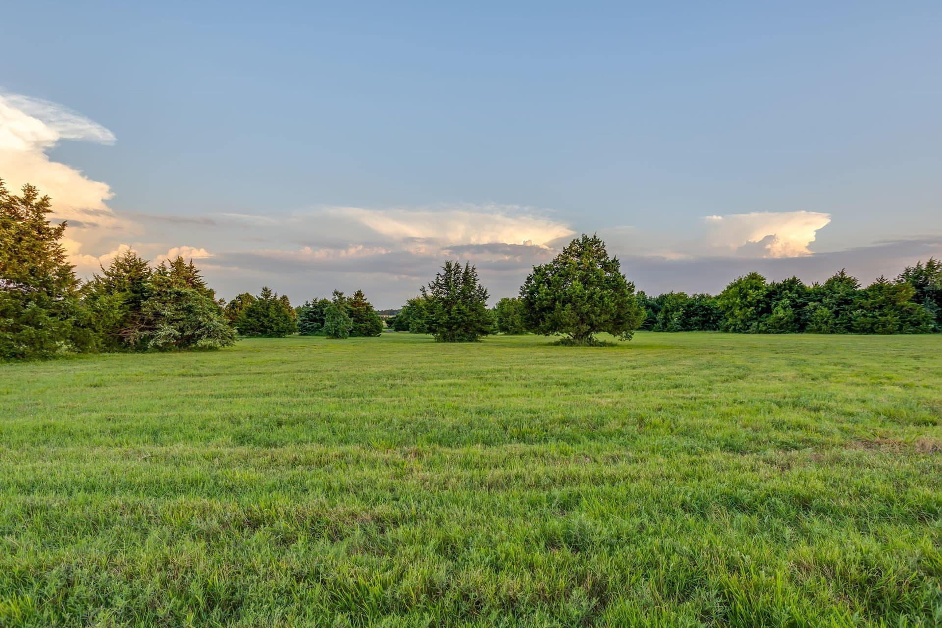 16.02 acres in Cooke County - photo 25