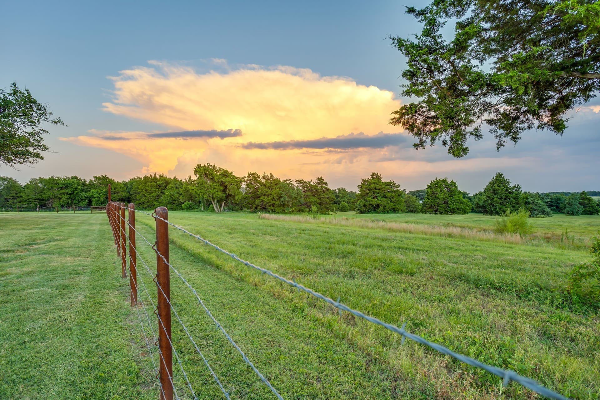 16.02 acres in Cooke County - photo 23