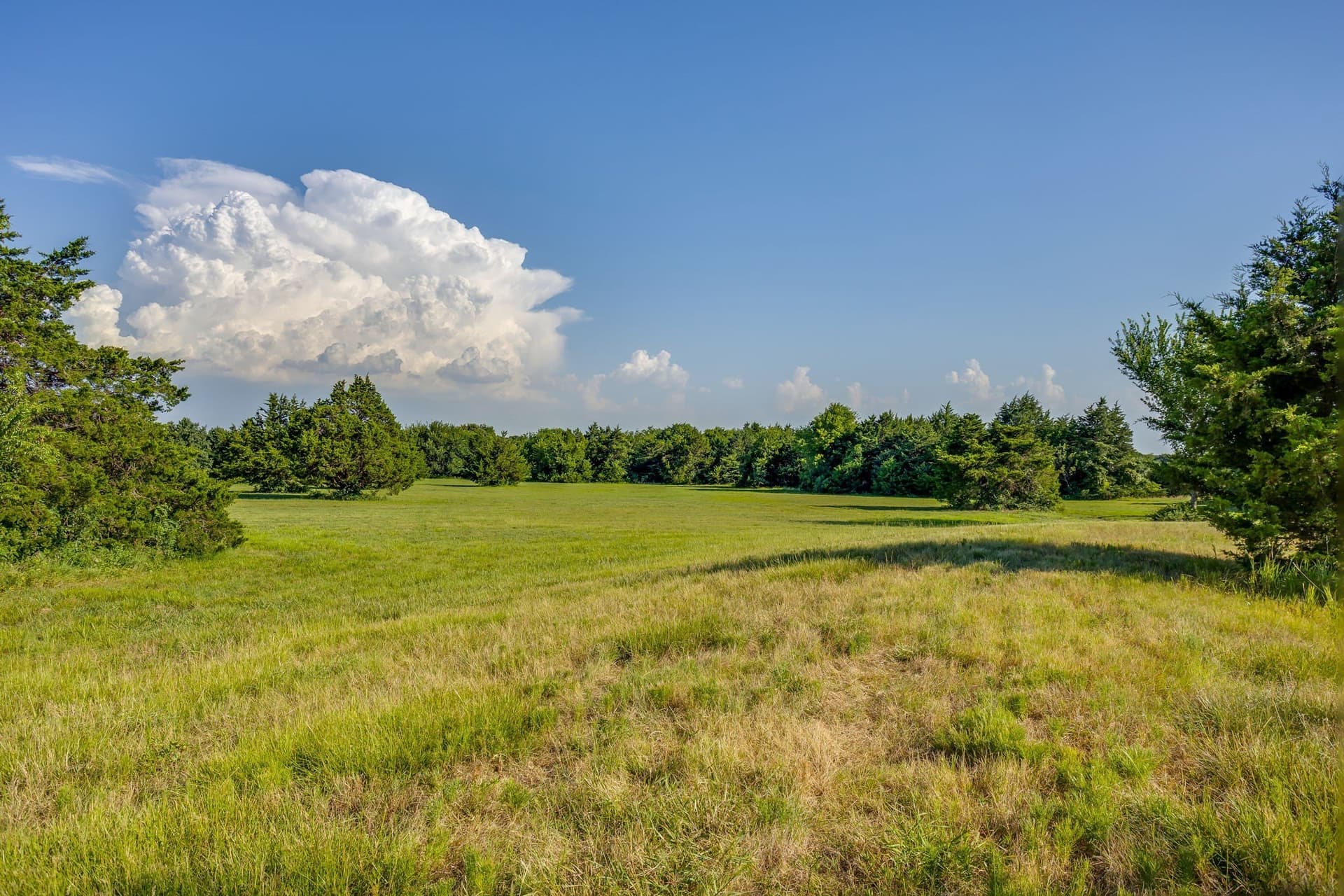 16.02 acres in Cooke County - photo 24