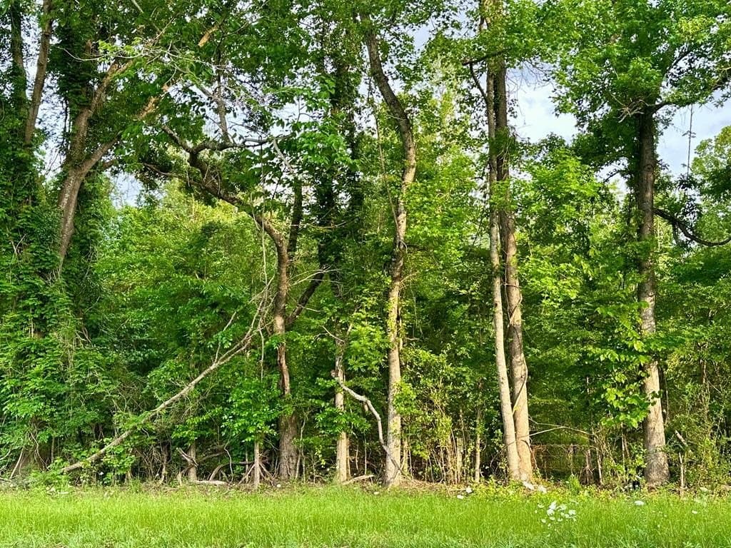 1.47 acres in Texas County
