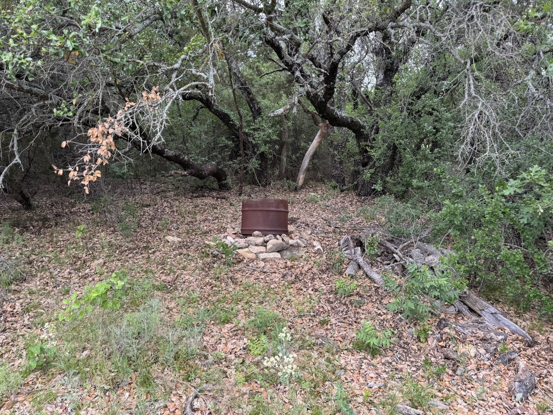 30 acres in Stephens County - photo 8