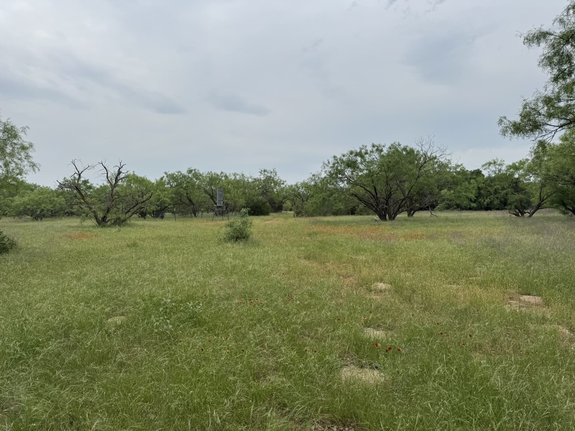 30 acres in Stephens County - photo 11