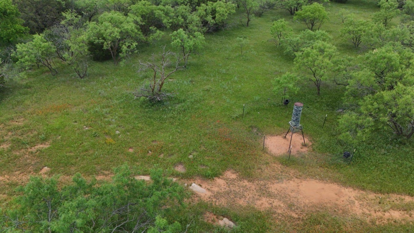 30 acres in Stephens County - photo 6