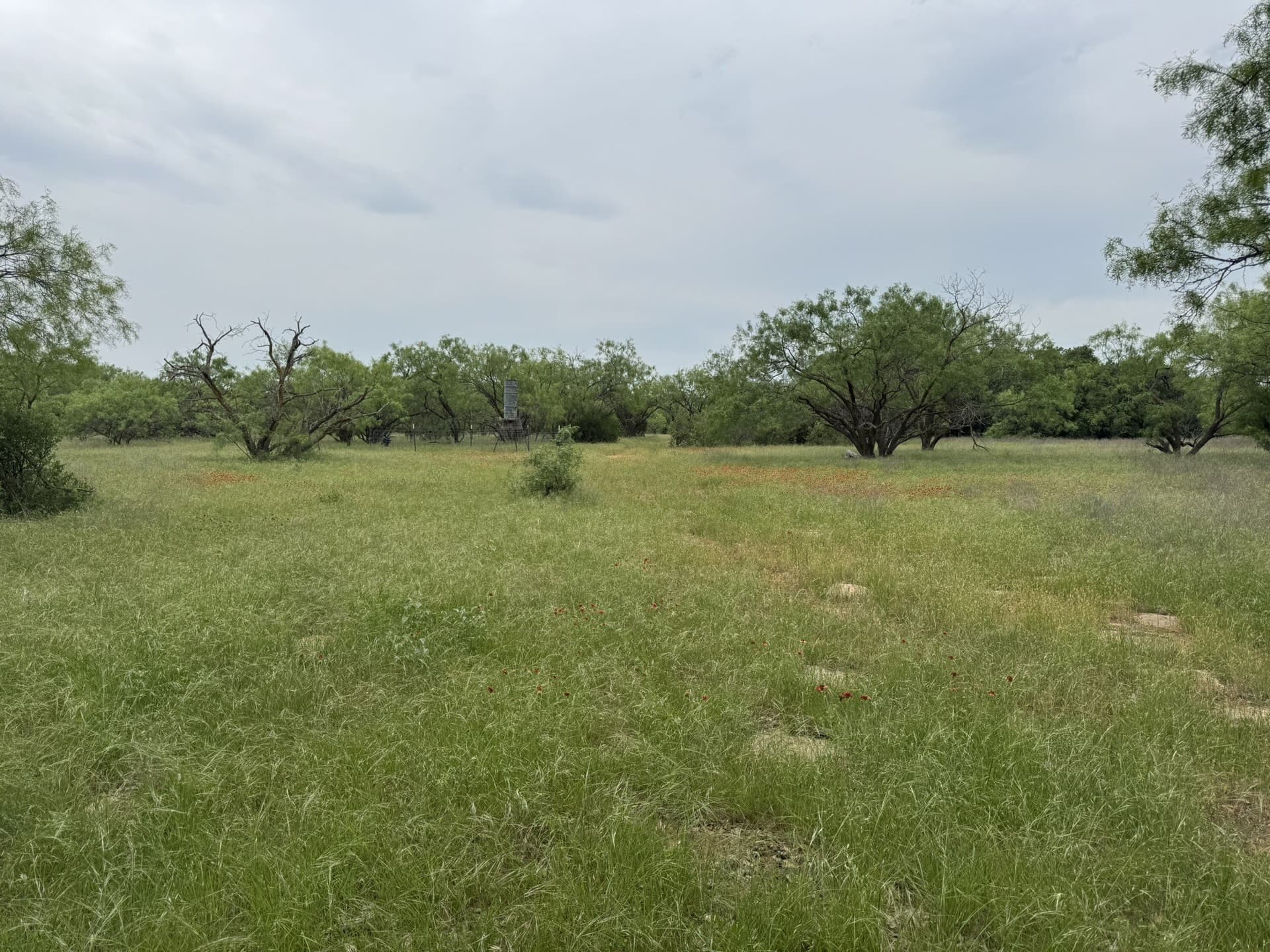 30 acres in Stephens County - photo 10