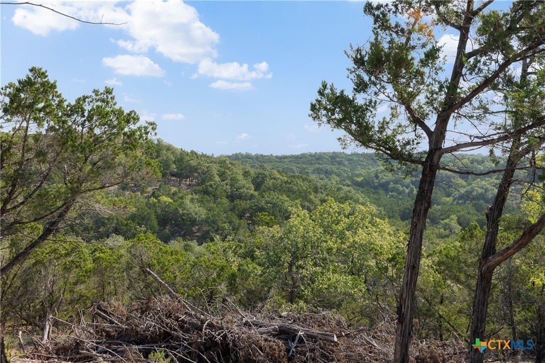 10.73 acres in Hays County - photo 2
