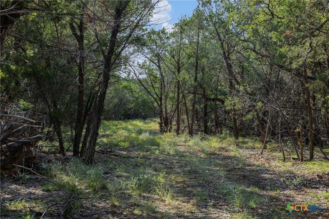 10.73 acres in Hays County - photo 17