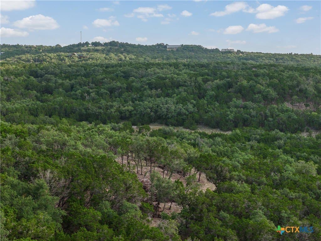 10.73 acres in Hays County - photo 3