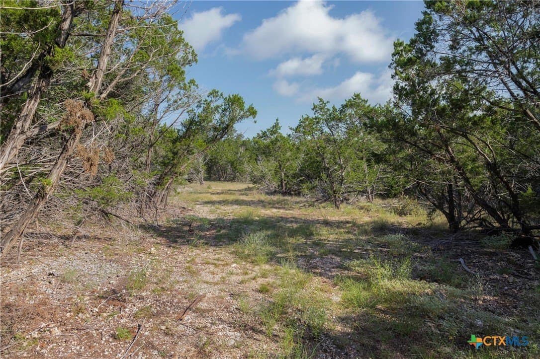10.73 acres in Hays County - photo 14