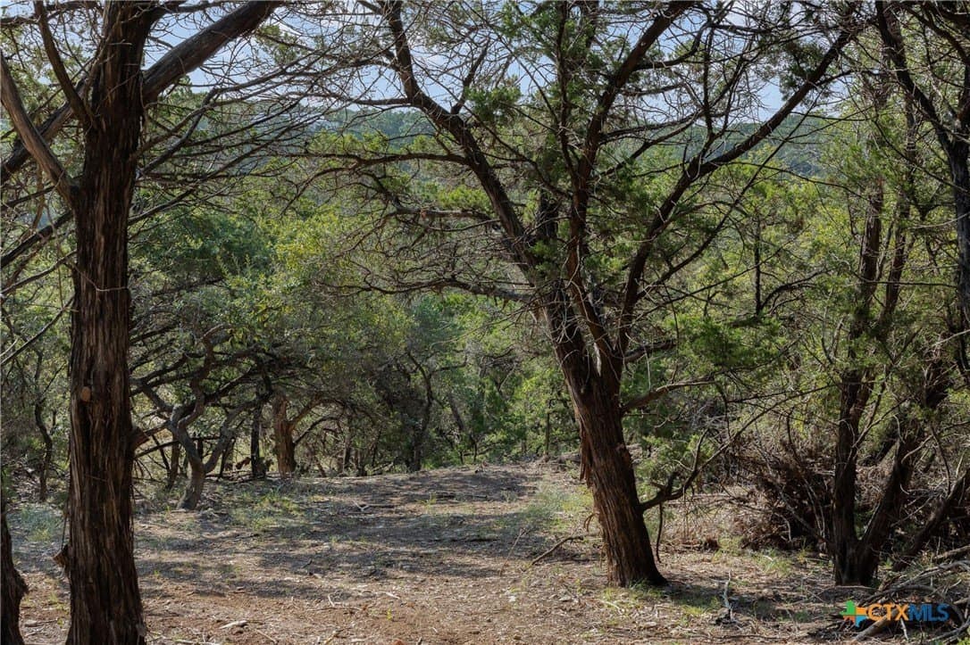 10.73 acres in Hays County - photo 20