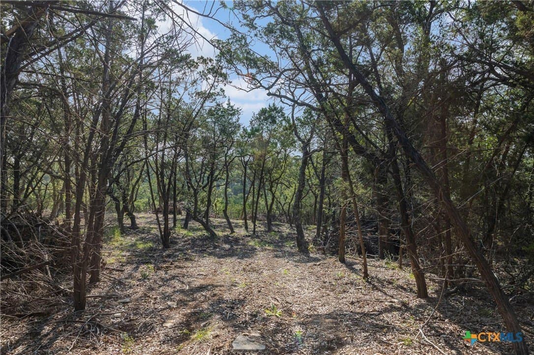 10.73 acres in Hays County - photo 4