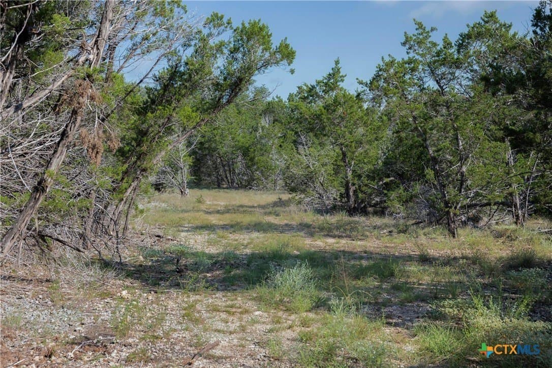 10.73 acres in Hays County - photo 10